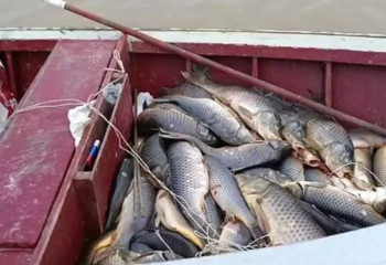 Атырау облысында  4 тұрғыннан 300 келіге жуық балық табылды