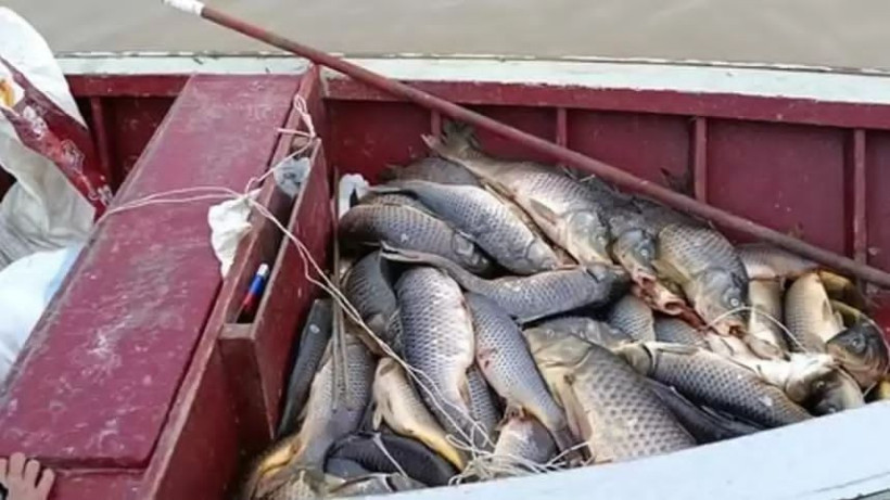  Балық шаруашылығы комитеті 