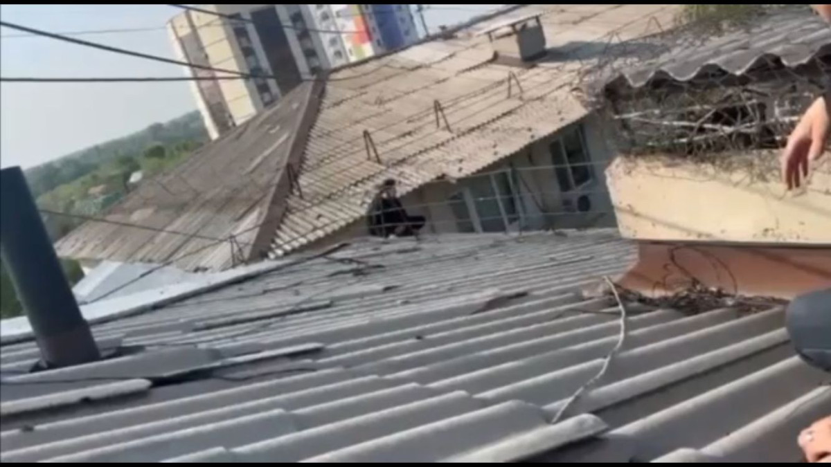  Бейнежазбадан скриншот 