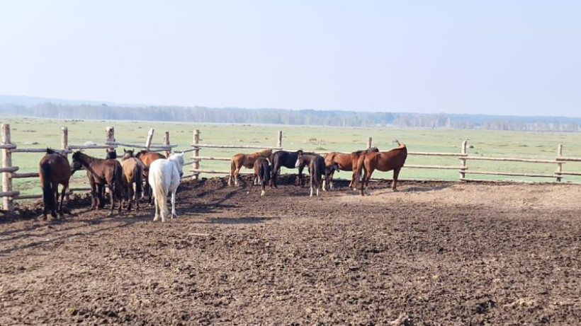  ІІМ баспасөз қызметі 