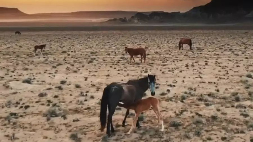  Бейнежазбадан скриншот 