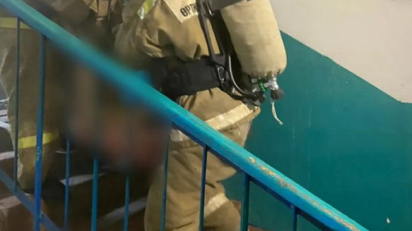  Видеодан кадр 