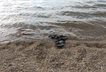 Сырдария өзенінен мектеп оқушысының денесі табылды