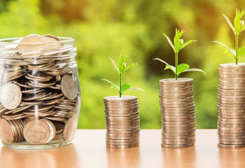 Субсидии на более 800 млн тенге незаконно получили псевдо-фермеры в Жамбылской области