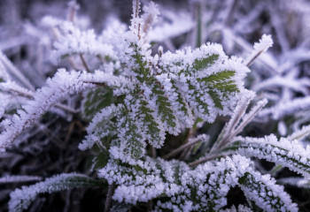 Елімізде ауа температурасы үш градусқа дейін төмендейді