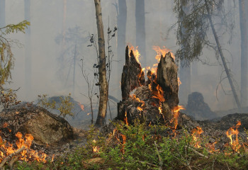 Елімізде жыл сайын 4 мыңға жуық өрт дерегі тіркеледі