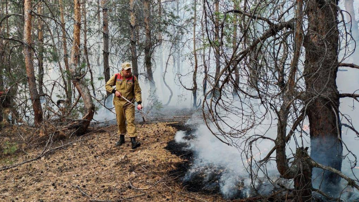 В Казахстане за год в лесном фонде 800 пожаров нанесли материальный ущерб в 20 млрд тенге