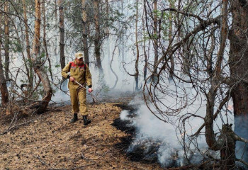 В Казахстане за год в лесном фонде 800 пожаров нанесли материальный ущерб в 20 млрд тенге
