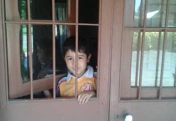 У казахстанцев без квартир и машин будут отбирать детей - фейк