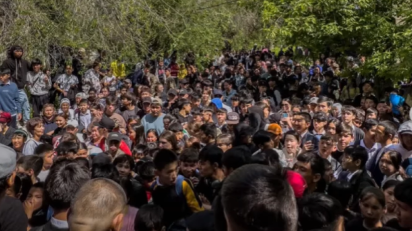  видеодан кадр 