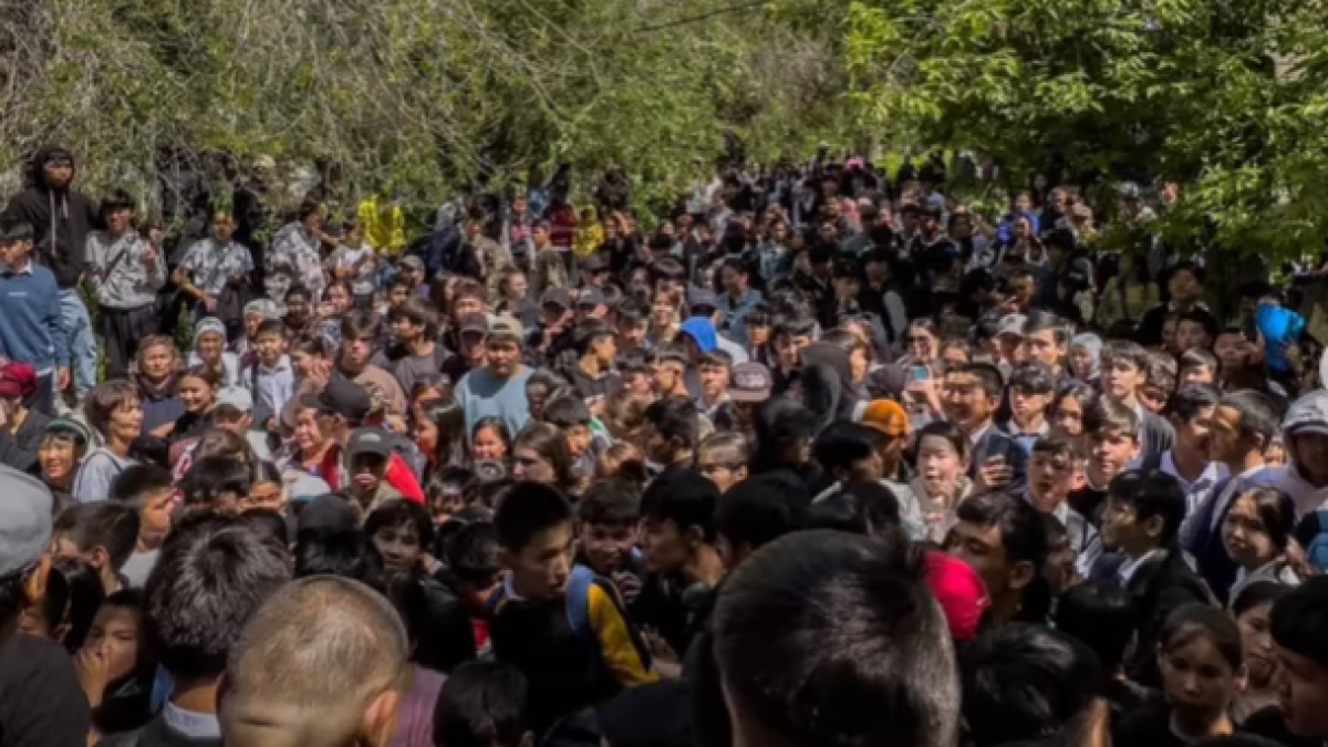  видеодан кадр 