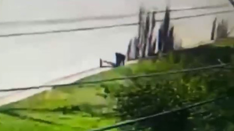  Видеодан кадр 