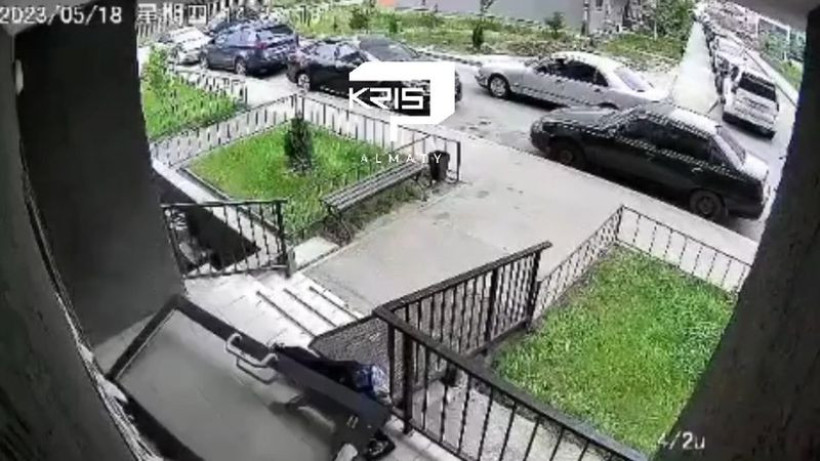  Видеодан кадр 