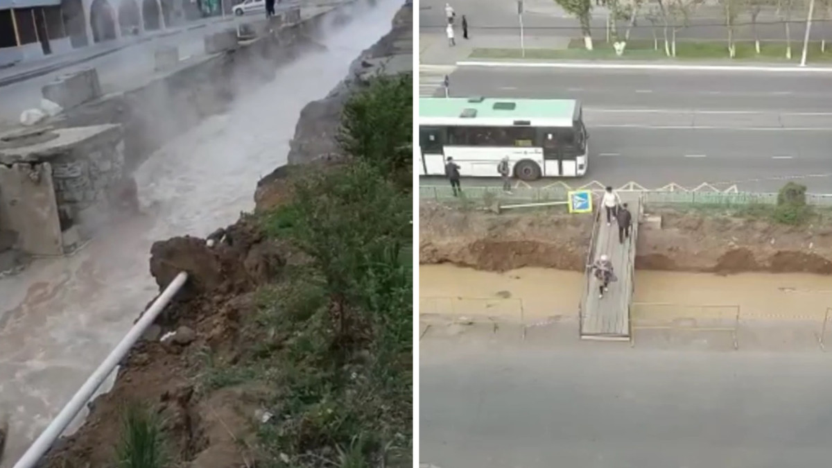  Видеодан кадр 