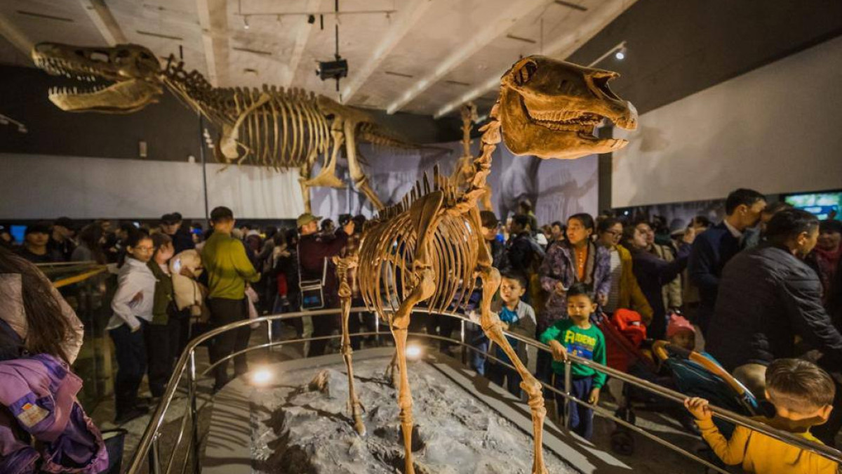 «Ночь музеев»: Нацмузей принял более 47 тысяч посетителей