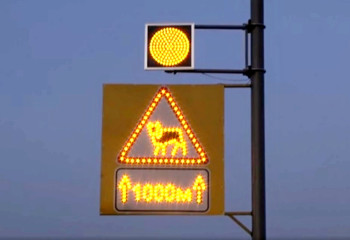 Дорожники апробируют технологию предотвращающую ДТП с животными