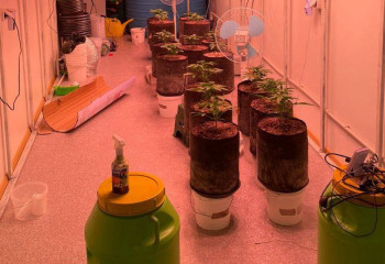 Фитолабораторию для конопли оборудовал житель Актау