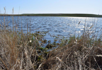 Тело пропавшей восьмиклассницы нашли в котловане в СКО