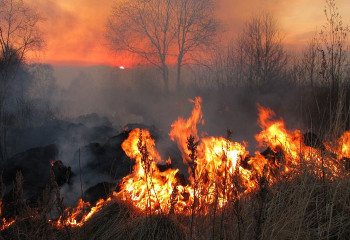 Павлодарда ауыл маңы өртеніп жатыр