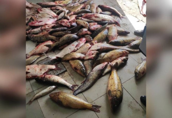 Лодку, сети и рыбу изъяли полицейские у жителя Шардары