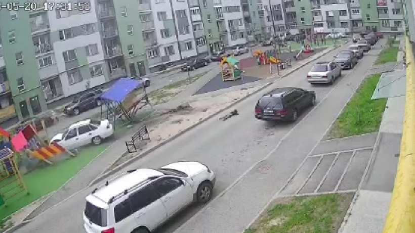  Видеодан кадр 