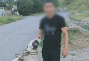 Көлігіне итті байлап сүйреген тұрғын анықталды