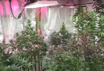 Астана маңындағы балық аулау бекетінен қарасора өсіретін зертхана табылды