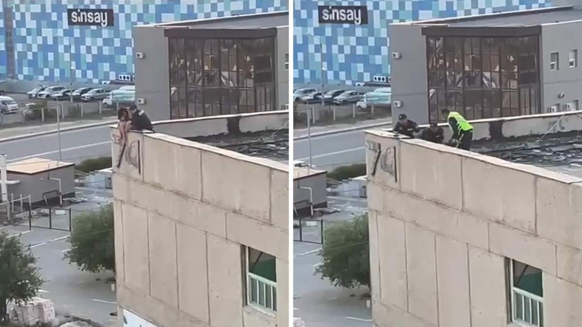  Видеодан кадр 