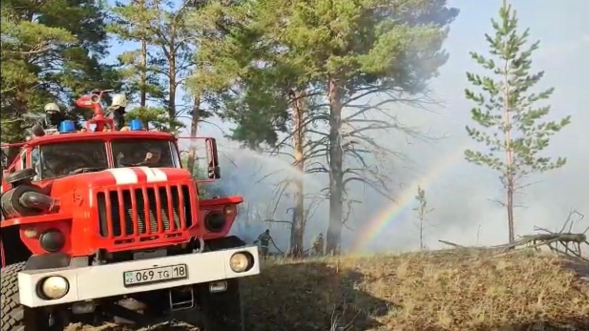 Лесной пожар в области Абай