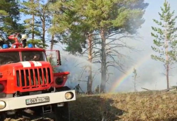 Лесной пожар в области Абай