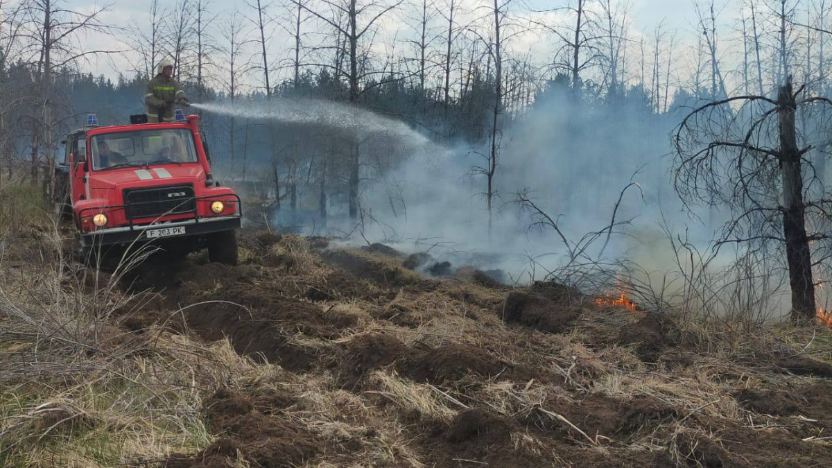 Природный пожар в Абайской области: угроза населенным пунктам снята