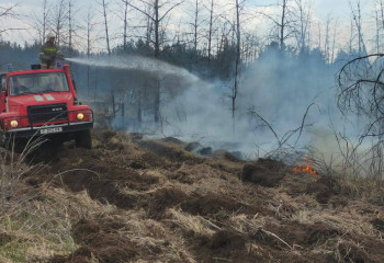 Природный пожар в Абайской области: угроза населенным пунктам снята
