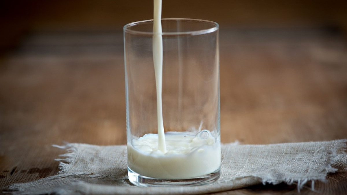 Производство молочных продуктов выросло почти на 33% в деньгах за год