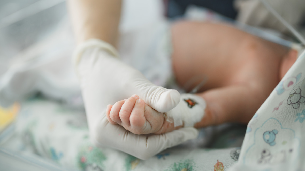  ©El.kz/Марат АМИРОВ 