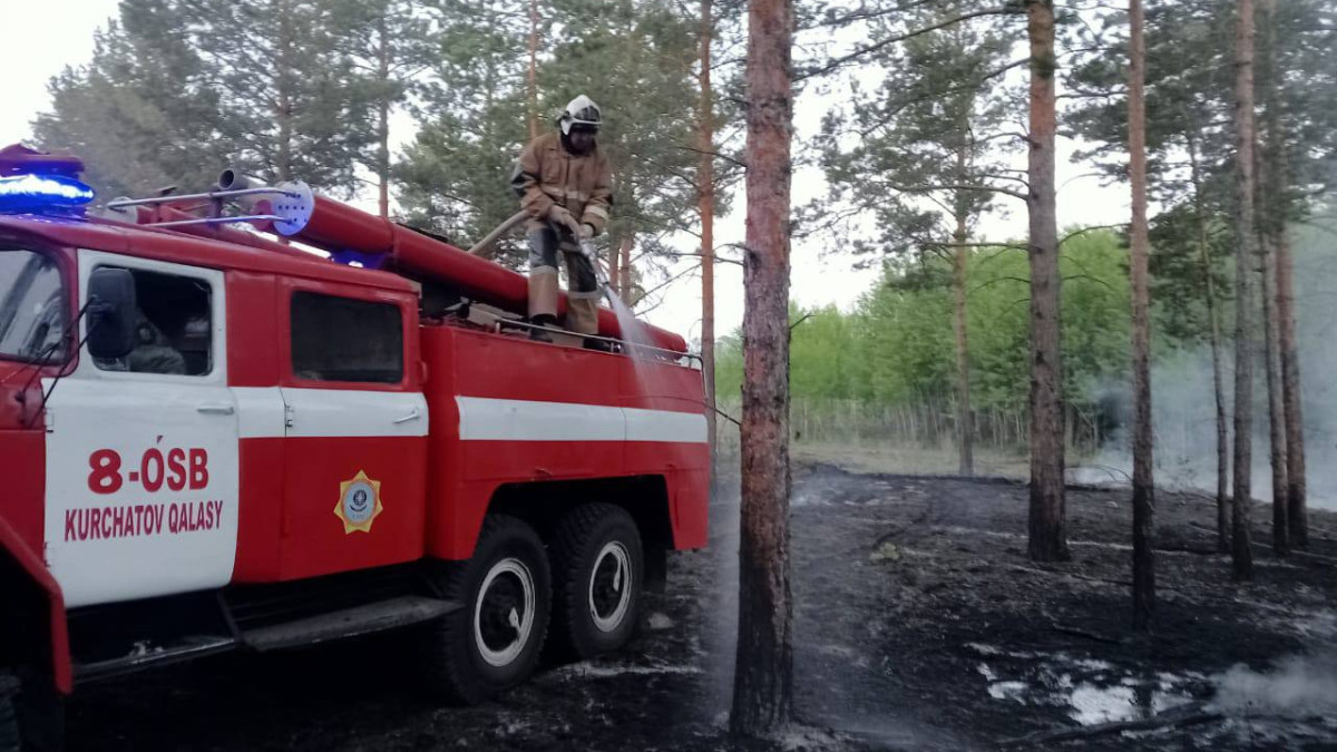 Вопрос ликвидации пожара в области Абай вне повестки рассмотрен в Правительстве