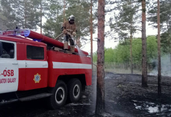 Вопрос ликвидации пожара в области Абай вне повестки рассмотрен в Правительстве