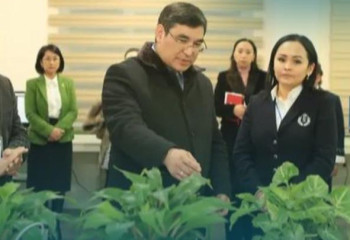 В Шымкенте стартовал проект по производству электроэнергии из растений