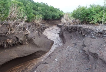 В Восточном Казахстане начался селеопасный период