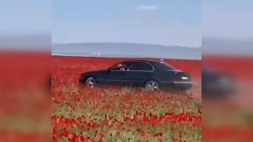  скрин-шот видео в социальных сетях 