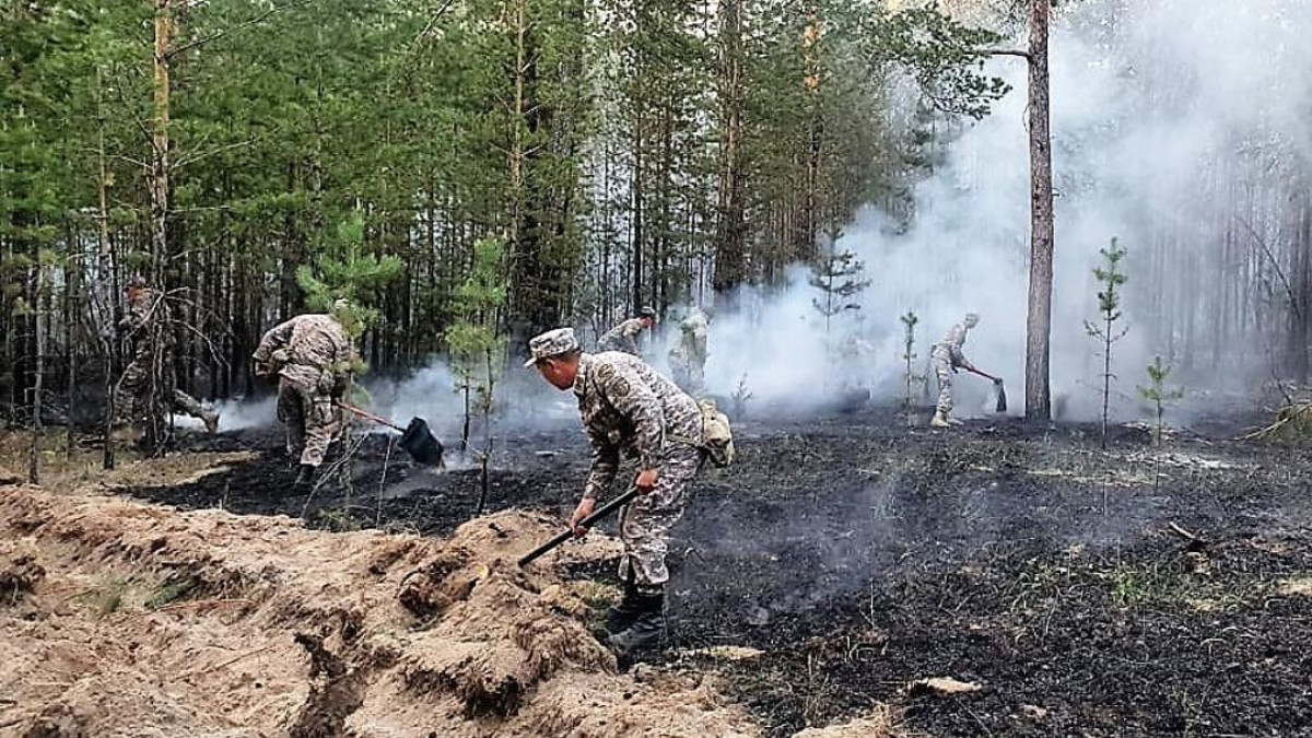 Военнослужащие участвуют в локализации пожаров в области Абай