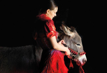 В Караганде покажут лучшие фильмы польского кинематографа