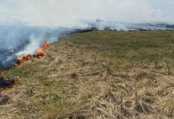 Пожар вдоль линии государственной границы локализовали пограничники