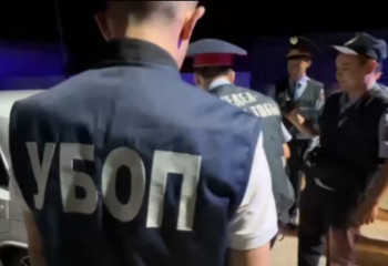 Туши джейранов изъяли у двух кызылординцев