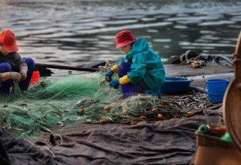 Объем выращенной рыбы в Казахстане за пять лет увеличился в семь раз