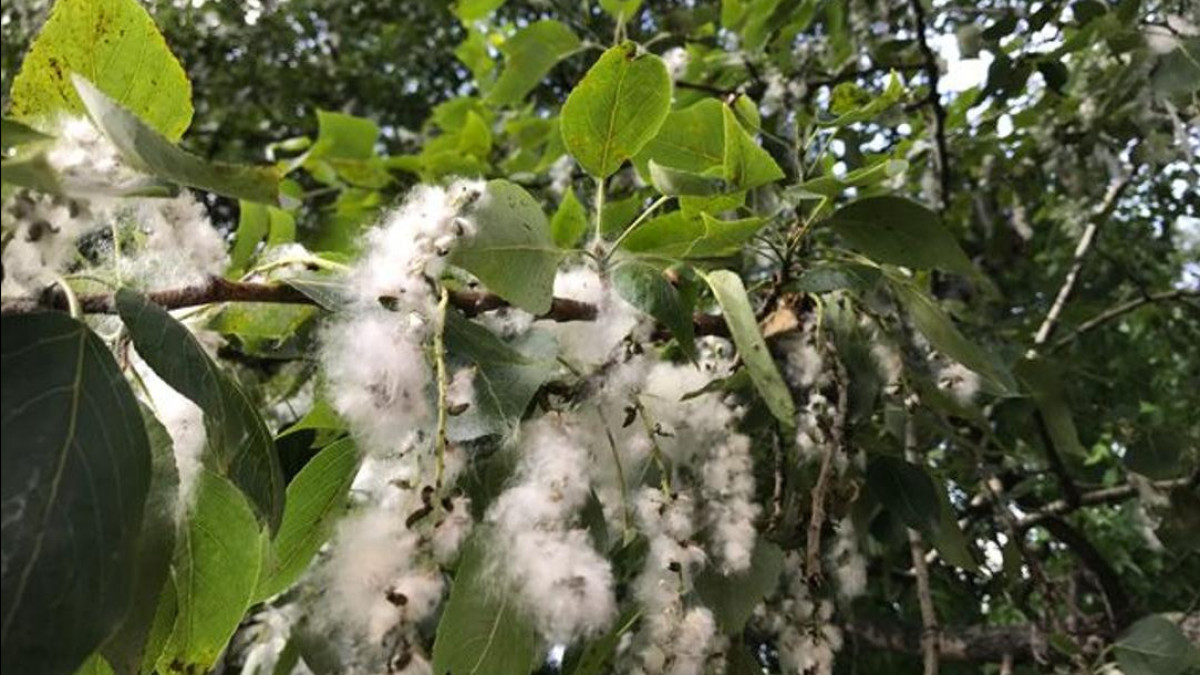  Астана әкімдігінің ресми сайты 