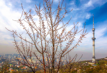 Алматы маңында жер сілкінді