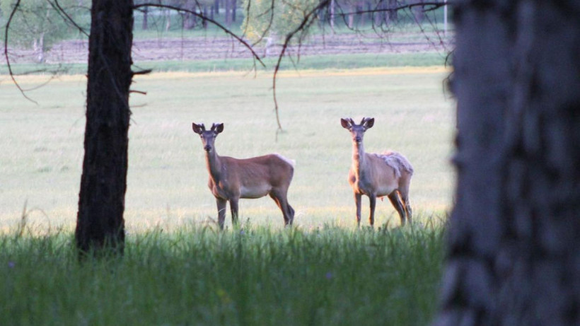  instagram.com/parkburabay/ 