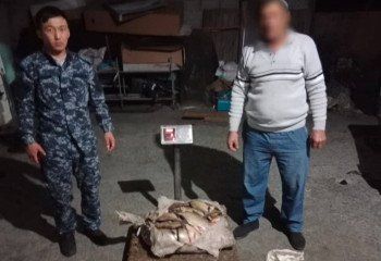 Жетісуда заңсыз 100 келі балық аулаған ер адам ұсталды