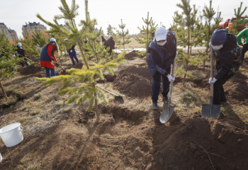 В Алматы подведены итоги акции «Зеленая школа»