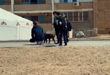 Дети и собака: прокуратура Мангистауской области провела эксперимент